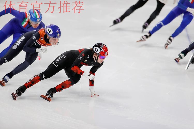 国际滑联单双人滑裁判长及裁判员学习班结束 国际滑联单双人滑裁判长及裁判员学习班结束